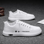 gid://shopify/MediaImage/24691967066206